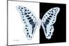 Miss Butterfly Graphium - X-Ray B&W Edition-Philippe Hugonnard-Mounted Photographic Print