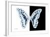 Miss Butterfly Graphium - X-Ray B&W Edition-Philippe Hugonnard-Framed Photographic Print