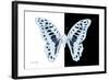 Miss Butterfly Graphium - X-Ray B&W Edition-Philippe Hugonnard-Framed Photographic Print