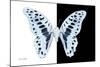 Miss Butterfly Graphium - X-Ray B&W Edition-Philippe Hugonnard-Mounted Photographic Print