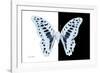 Miss Butterfly Graphium - X-Ray B&W Edition-Philippe Hugonnard-Framed Photographic Print