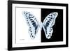 Miss Butterfly Graphium - X-Ray B&W Edition-Philippe Hugonnard-Framed Photographic Print