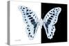 Miss Butterfly Graphium - X-Ray B&W Edition-Philippe Hugonnard-Stretched Canvas