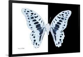 Miss Butterfly Graphium - X-Ray B&W Edition-Philippe Hugonnard-Framed Photographic Print