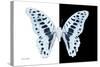 Miss Butterfly Graphium - X-Ray B&W Edition-Philippe Hugonnard-Stretched Canvas