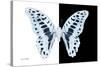 Miss Butterfly Graphium - X-Ray B&W Edition-Philippe Hugonnard-Stretched Canvas