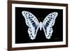 Miss Butterfly Graphium - X-Ray Black Edition-Philippe Hugonnard-Framed Photographic Print