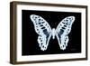 Miss Butterfly Graphium - X-Ray Black Edition-Philippe Hugonnard-Framed Photographic Print