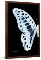 Miss Butterfly Graphium - X-Ray Left Black Edition-Philippe Hugonnard-Framed Photographic Print