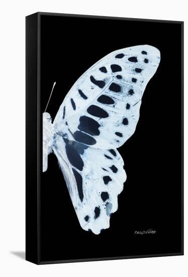 Miss Butterfly Graphium - X-Ray Right Black Edition-Philippe Hugonnard-Framed Stretched Canvas