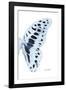 Miss Butterfly Graphium - X-Ray Right White Edition-Philippe Hugonnard-Framed Photographic Print