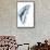 Miss Butterfly Graphium - X-Ray Right White Edition-Philippe Hugonnard-Framed Stretched Canvas displayed on a wall