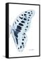 Miss Butterfly Graphium - X-Ray Right White Edition-Philippe Hugonnard-Framed Stretched Canvas