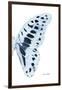 Miss Butterfly Graphium - X-Ray Right White Edition-Philippe Hugonnard-Framed Photographic Print