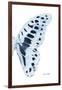 Miss Butterfly Graphium - X-Ray Right White Edition-Philippe Hugonnard-Framed Photographic Print