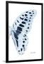 Miss Butterfly Graphium - X-Ray Right White Edition-Philippe Hugonnard-Framed Photographic Print