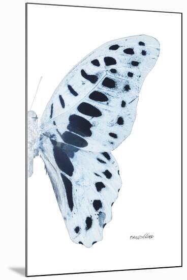 Miss Butterfly Graphium - X-Ray Right White Edition-Philippe Hugonnard-Mounted Premium Photographic Print