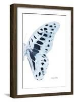 Miss Butterfly Graphium - X-Ray Right White Edition-Philippe Hugonnard-Framed Photographic Print