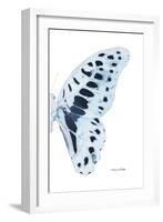 Miss Butterfly Graphium - X-Ray Right White Edition-Philippe Hugonnard-Framed Photographic Print