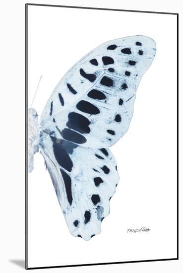 Miss Butterfly Graphium - X-Ray Right White Edition-Philippe Hugonnard-Mounted Photographic Print