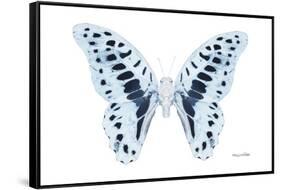 Miss Butterfly Graphium - X-Ray White Edition-Philippe Hugonnard-Framed Stretched Canvas