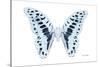 Miss Butterfly Graphium - X-Ray White Edition-Philippe Hugonnard-Stretched Canvas