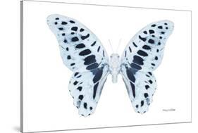 Miss Butterfly Graphium - X-Ray White Edition-Philippe Hugonnard-Stretched Canvas