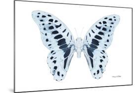 Miss Butterfly Graphium - X-Ray White Edition-Philippe Hugonnard-Mounted Photographic Print