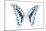 Miss Butterfly Graphium - X-Ray White Edition-Philippe Hugonnard-Mounted Photographic Print