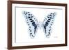 Miss Butterfly Graphium - X-Ray White Edition-Philippe Hugonnard-Framed Photographic Print