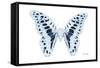 Miss Butterfly Graphium - X-Ray White Edition-Philippe Hugonnard-Framed Stretched Canvas