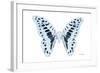 Miss Butterfly Graphium - X-Ray White Edition-Philippe Hugonnard-Framed Photographic Print