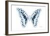 Miss Butterfly Graphium - X-Ray White Edition-Philippe Hugonnard-Framed Photographic Print