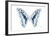 Miss Butterfly Graphium - X-Ray White Edition-Philippe Hugonnard-Framed Photographic Print