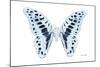 Miss Butterfly Graphium - X-Ray White Edition-Philippe Hugonnard-Mounted Photographic Print