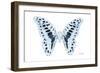 Miss Butterfly Graphium - X-Ray White Edition-Philippe Hugonnard-Framed Photographic Print