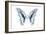 Miss Butterfly Graphium - X-Ray White Edition-Philippe Hugonnard-Framed Photographic Print