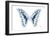 Miss Butterfly Graphium - X-Ray White Edition-Philippe Hugonnard-Framed Photographic Print