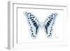 Miss Butterfly Graphium - X-Ray White Edition-Philippe Hugonnard-Framed Photographic Print