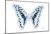 Miss Butterfly Graphium - X-Ray White Edition-Philippe Hugonnard-Mounted Photographic Print