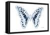 Miss Butterfly Graphium - X-Ray White Edition-Philippe Hugonnard-Framed Stretched Canvas