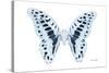 Miss Butterfly Graphium - X-Ray White Edition-Philippe Hugonnard-Stretched Canvas