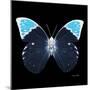 Miss Butterfly Hebomoia Sq - X-Ray Black Edition-Philippe Hugonnard-Mounted Premium Photographic Print