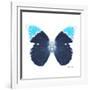 Miss Butterfly Hebomoia Sq - X-Ray White Edition-Philippe Hugonnard-Framed Photographic Print