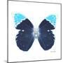 Miss Butterfly Hebomoia Sq - X-Ray White Edition-Philippe Hugonnard-Mounted Photographic Print