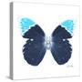 Miss Butterfly Hebomoia Sq - X-Ray White Edition-Philippe Hugonnard-Stretched Canvas