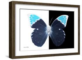 Miss Butterfly Hebomoia - X-Ray B&W Edition-Philippe Hugonnard-Framed Photographic Print