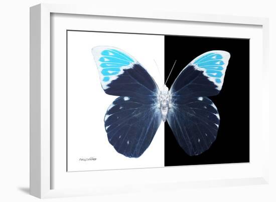 Miss Butterfly Hebomoia - X-Ray B&W Edition-Philippe Hugonnard-Framed Photographic Print