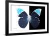 Miss Butterfly Hebomoia - X-Ray B&W Edition-Philippe Hugonnard-Framed Photographic Print