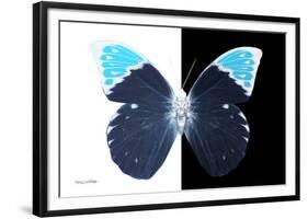 Miss Butterfly Hebomoia - X-Ray B&W Edition-Philippe Hugonnard-Framed Photographic Print